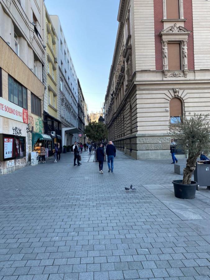 Cika Ljuba Daire Belgrad Dış mekan fotoğraf